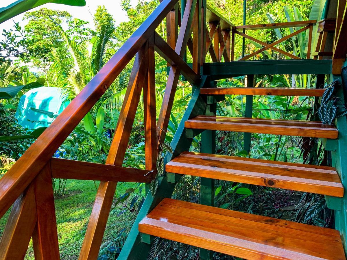 Las Caletas Lodge Drake Bay Exterior foto