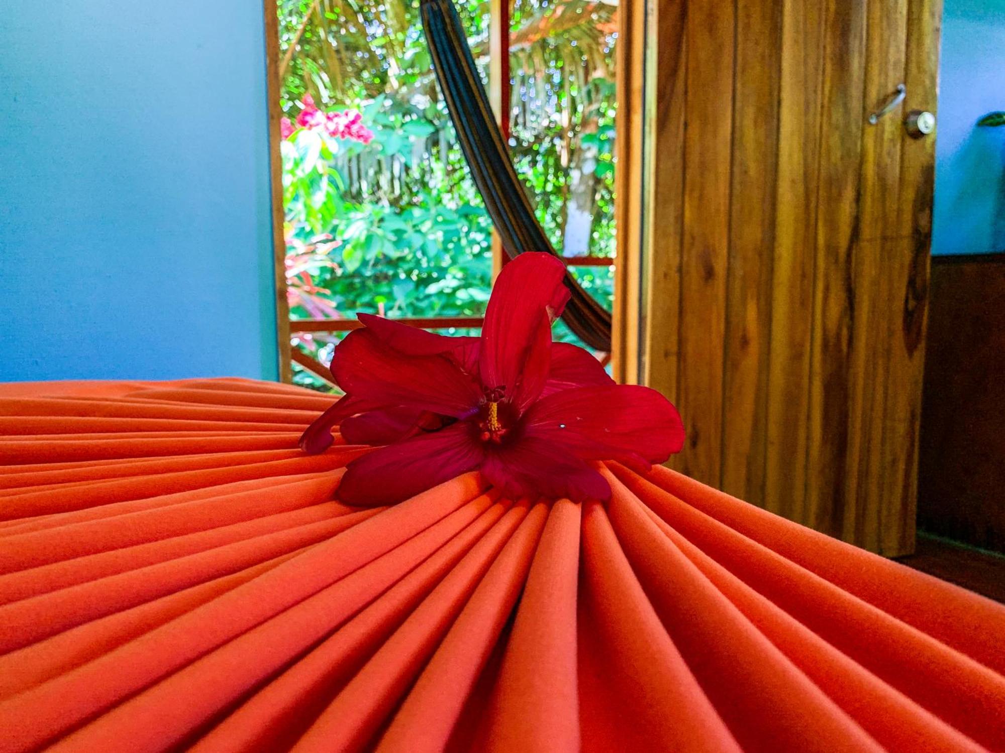 Las Caletas Lodge Drake Bay Quarto foto